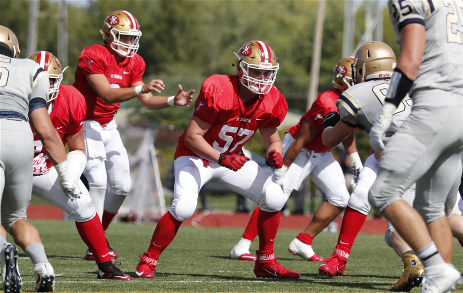 Canisius 55, St. Francis 13